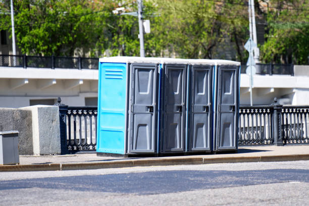 Best Sanitation services for porta potties  in Dewitt, MI